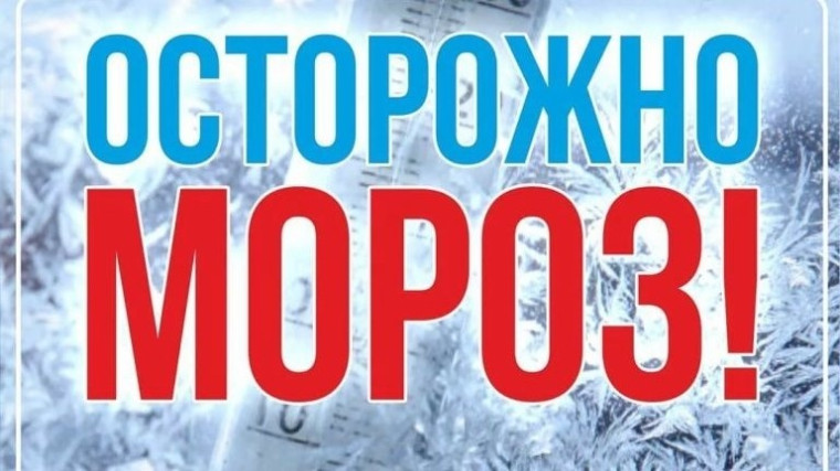 Осторожно, морозы!.